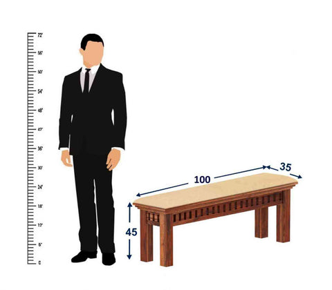 Amer Solid Sheesham Wood 2 Seater Bench (Natural Finish, With Cushion)